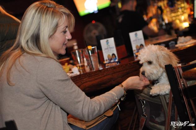 The canine vote was hotly courted by both Team Blonde and Team Brunette at last night's Mighty Pint mixer!